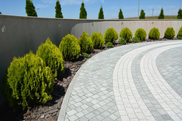 Best Custom Driveway Pavers  in Powderly, TX